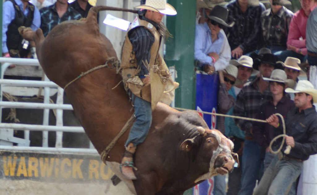 Fraser Babbington takes out the top spot in the Open Bullride at the Warwick Rodeo at the weekend.